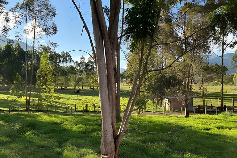 Cabañas Los Gatos de Oxapampa