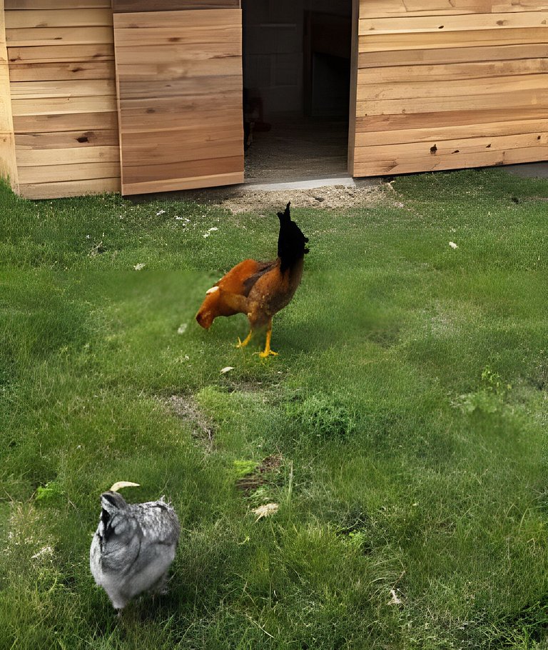 Cabañas Los Gatos de Oxapampa