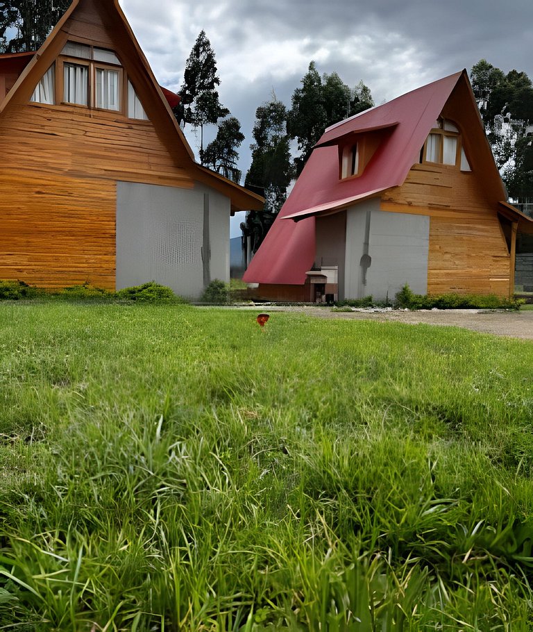 Cabañas Los Gatos de Oxapampa